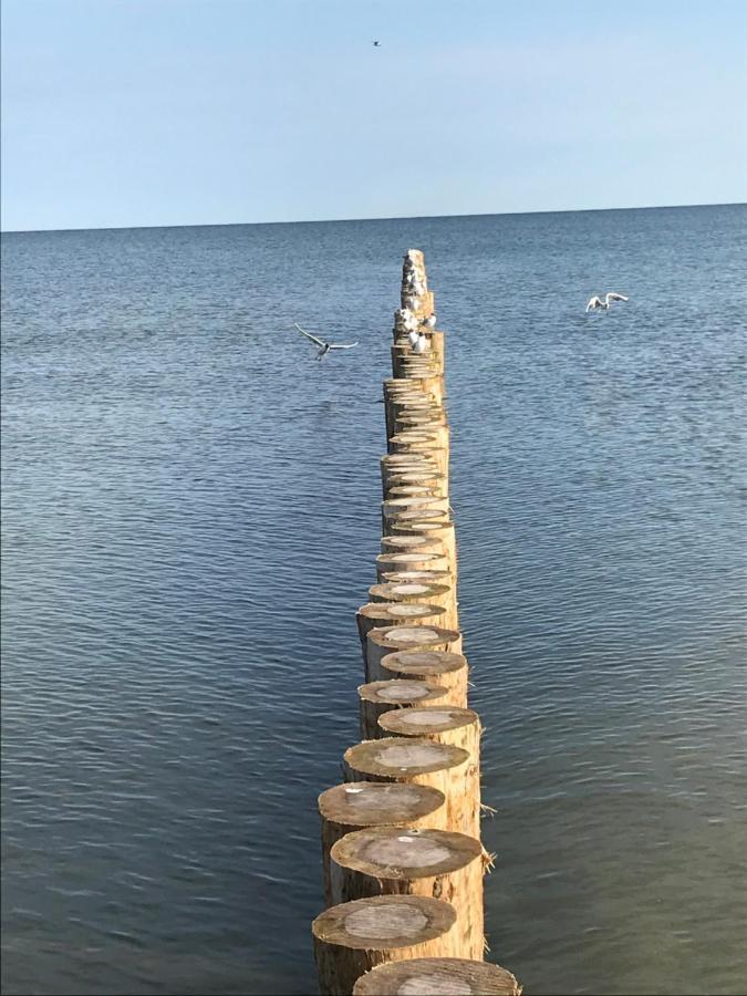 דירות Dziwnów Ive'S Gardenia Seaside מראה חיצוני תמונה