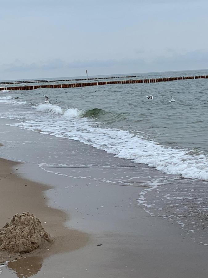 דירות Dziwnów Ive'S Gardenia Seaside מראה חיצוני תמונה